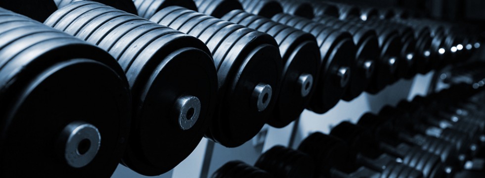 Dumbbell SandyDog CrossFit Buckingham Barbell